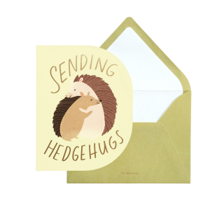 Sending Hugs Hedgehog Greeting Card